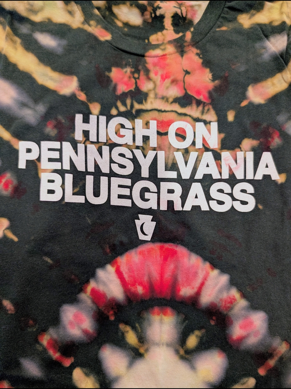 Cabinet 'High On Pennsylvania Bluegrass' Tie Dye T-shirt Size XL